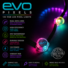 Load image into Gallery viewer, EVO+ Pixels – High-Efficiency 12V LED Pixels with Dual Data Lines, IP67 Waterproof
